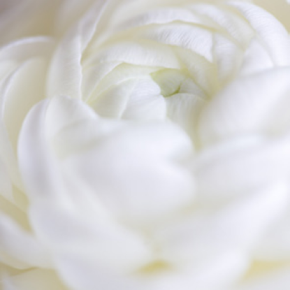 Безопасность <br/>и качество